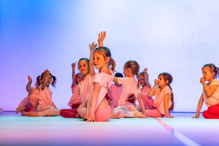 Območna revija plesnih skupin Finesa plesa 2024 (11)